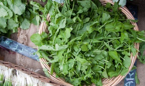 Daun arugula sangat kaya vitamin dan mineral serta berkalori sangat rendah.