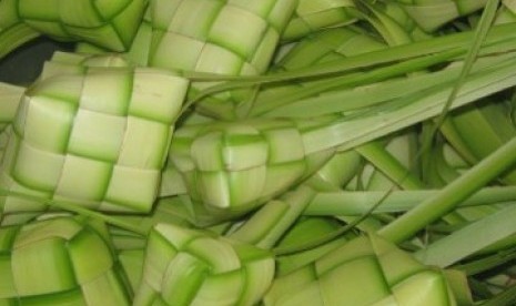 Daun Ketupat (Ilustrasi)