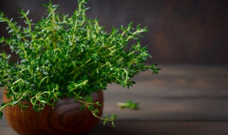 Daun thyme. Ahli memberikan tips menamam tumbuhan herbal di rumah agar awet (ilustrasi). 