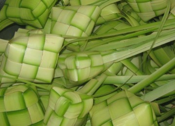 Daun Ketupat (Ilustrasi)