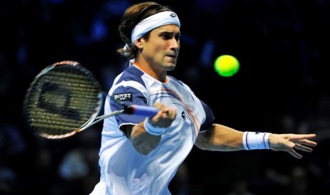 David Ferrer