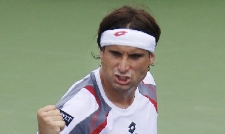 David Ferrer.