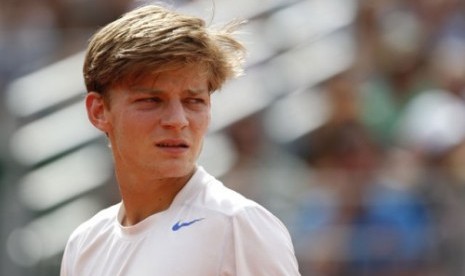 David Goffin