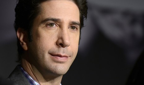 David Schwimmer