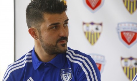 David Villa