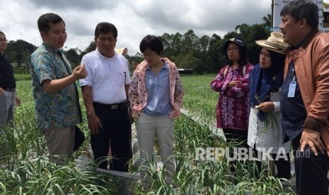 Delegasi Cina bersama Kementerian Pertanian melakukan kunjungan peninjauan lahan tanam bawang putih.