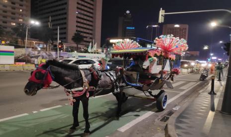 Pastikan Kesehatan Kuda Delman Monas, Pemkot Jakarta Pusat Uji Sampel Feses