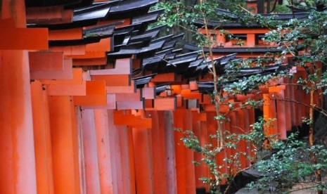 Deretan rapat Torii warna jingga di jalur pendakian Fushimi Inari-taisha, Kyoto, Jepang.