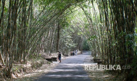 Desa Penglipuran, salah satu desa terbersih di dunia terletak di Kabupaten Bangli, Provinsi Bali. 