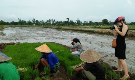 Desa wisata Bilabante, Lombok.