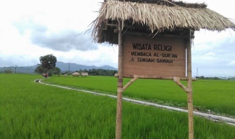 Desa Wisata Halal Setanggor, Lombok Tengah. Pengunjung bisa merasakan sensasi mengaji di tengah sawah.