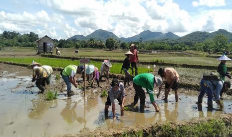 Di saat masa pandemi Covid 19 yang melanda dunia termasuk Indonesia, Pemerintah Kabupaten Landak, provinsi Kalimantan Barat terus menggenjot produktivitas tanaman padi. Dinas Pertanian Perikanan dan Ketahanan Pangan (DPPKP) Landak merealisakannya dengan melakukan demplot padi 5 varietas unggul di Dusun Senakin, Desa Senakin, Kecamatan Sengah Temila.