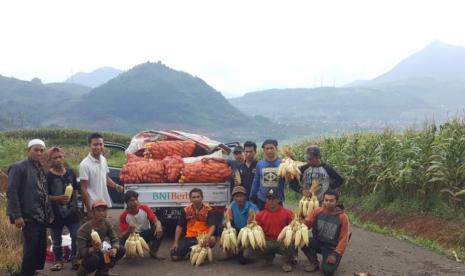 Di tengah ancaman penyebaran wabah virus Covid-19, tak menyurutkan semangat petani kabupaten Bandung dalam melaksanakan panen raya pada Musin Tanam pertama (MT I). Panen raya yang sudah dimulai pada bulan Maret ini diperkirakan akan mencapai puncak panen pada bulan Mei dengan luas panen periode Maret-Mei 2020 seluas 26.720 Ha. 