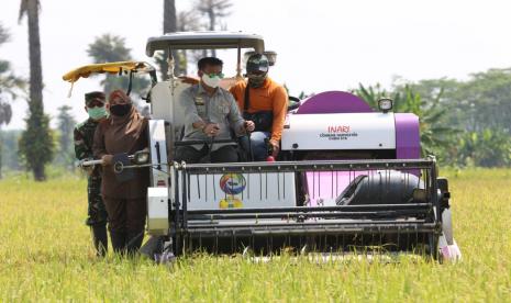 Di tengah merebaknya virus covid 19 (corona) yang belum kunjung reda, panen raya terus berlangsung di sejumlah wilayah di tanah air. Menteri Pertanian (Mentan) Syahrul Yasin Limpo bersama Bupati Pandeglang, Irna Narulita melakukan panen padi Inbrida di lahan Gabungan Kelompok Tani (Gapoktan) Karya Tani Desa Tanjung Jaya, Kecamatan Panimbang, Kabupaten Pandeglang, Banten, Kamis (23/4). Luas lahan yang dipanen adalah 250 hektar dengan varietas Ciherang.