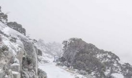 Di Thredbo, salju tercatat turun sekitar lima sentimeter di resor tersebut.