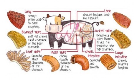 Diagram Jeroan Sapi