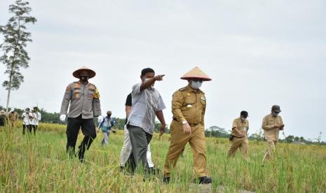 Dibawah mentari pagi, Gubernur Provinsi Kepulauan Bangka Belitung, Erzaldi Rosman menyambangi area persawahan di Dusun Parit 2, Desa Kepoh, Kabupaten Bangka Selatan, Senin (23/2). 