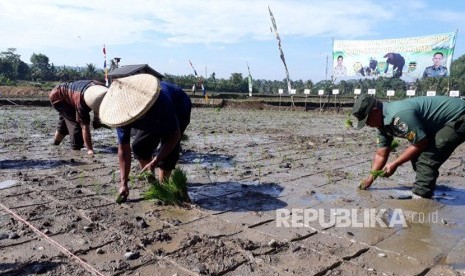 Dinas Pangan dan Pertanian Kabupaten Purwakarta yang dibantu unsur TNI, menggenjot supaya petani bisa memercepat masa tanam selama Maret 2018 ini. Start percepatan tanam padi ini dilkasanakan di Kampung Cilalawi, Desa Cianting Utara, Kecamatan Sukatani. 