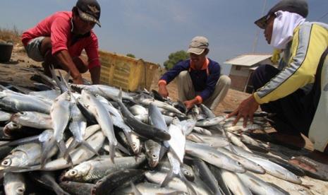 Dinas Perikanan Kabupaten Tangerang mendorong wilayah utara Kabupaten Tangerang menjadi pusat pertumbuhan ekonomi baru. Hal itu dilakukan dengan memberikan sejumlah stimulus bagi masyarakat pantai di wilayah utara Kabupaten Tangerang untuk dapat mengembangkan kegiatan ekonomi berbasis perikanan. 