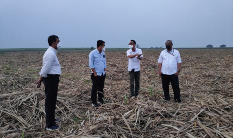 Direksi Holding Perkebunan meninjau lahan kebun tebu unit Bunga Mayang, Lampung, Selasa (24/8). 