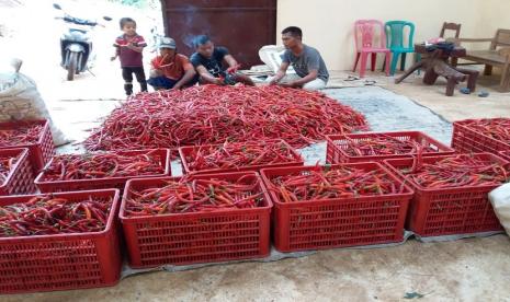 Direktorat Jenderal Hortikultura menyatakan saat ini hingga pasca Idul Fitri nanti ketersediaan dan pasokan cabai aman dan cukup.