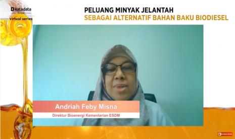 Direktur Bioenergi Kementerian ESDM, Andriah Feby Misna.