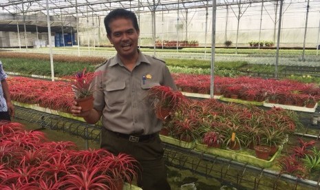 Direktur Jenderal (Dirjen) Hortikultura, Kementan, Suwandi, Rabu (21/11).