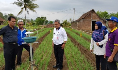 Direktur Jenderal Hortikuktura, Suwandi saat mengunjungi wisata agro di Bantul, Jum'at (9/11)