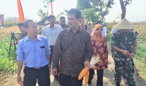 Direktur Jenderal Hortikultura Kementan, Suwandi dalam acara Gerakan Panen Jagung Serentak bersama Kementerian Pertanian (Kementan) di Desa Pelemahan, Kecamatan Pelemahan, Kediri, Ahad (11/11) 