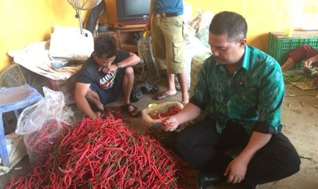 Direktur Jenderal Hortikultura Kementerian Pertanian (Kementan) Suwandi.