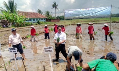 Gerakan Percepatan Tanam Padi 