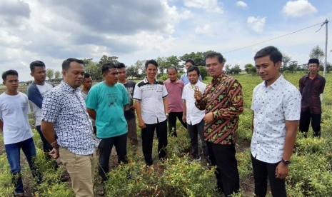 Direktur Jenderal Hortikultura, Kementerian Pertanian (Kementan), Suwandi mengunjungi lahan pertanian dan berdiskusi dengan para pemuda tani di Kabupaten Takalar, Sulawesi Selatan, Sabtu (15/12).