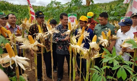 Direktur Jenderal Hortikultura Kementerian Pertanian (Kementan), Suwandi, selaku Penanggung Jawab Program Upaya Khusus Padi, Jagung dan Kedelai (UPSUS Pajale) Provinsi Jawa Tengah, melakukan panen raya jagung di Desa Watangrejo Kecamatan Pracimantoro, Wonogiri, Selasa (12/2).