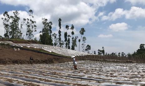 Direktur Jenderal Hortikultura, Prihasto Setyanto menyampaikan berbagai strategi yang dibuat oleh Direktorat Jenderal Hortikultura untuk menghadapi dampak perubahan iklim, antara lain yakni berupa antisipasi, adaptasi, dan mitigasi.