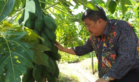 Direktur Jenderal Hortikultura, Prihasto Setyanto, saat melakukan kunjungan lapangan ke sentra produksi hortikultura di Kecamatan Manggar Kota Balikpapan, Sabtu (31/8).