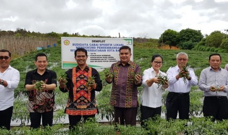 Direktur Jenderal Hortikultura, Suwandi saat melakukan panen cabai.