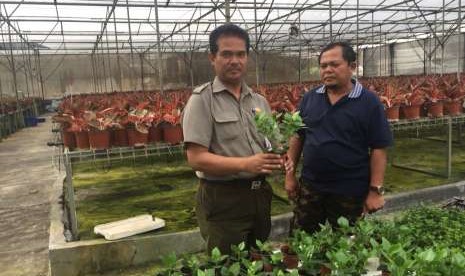 Direktur Jenderal Hortikultura, Suwandi saat mengunjungi PT Florion, perusahaan budidaya sekaligus eksportir tanaman hias di Bogor