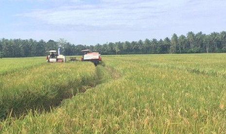  Direktur Jenderal Hortikultura, Suwandi selaku Penanggungjawab Upaya Khusus Peningkatan Produksi Padi, Jagung dan Kedelai (Upsus Pajale) Tingkat Provinsi Jawa Tengah, memberikan penghargaan kepada Kabupaten Blora. 