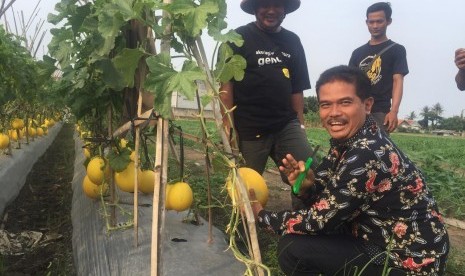 Direktur Jenderal Hortikultuta Kementerian Pertanian (Kementan), Suwandi saat meninjau lahan pertanian perkotaan seluas 26 hektare yang dikelola petani muda di Kampung Rawa Lini, Teluk Naga, Tangerang, Banten, Rabu (7/11)