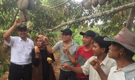 Direktur Jenderal Hortikultuta, Suwandi saat menghadiri panen dan lomba durian lokal di Kemranjen, Banyumas, Sabtu (10/11)