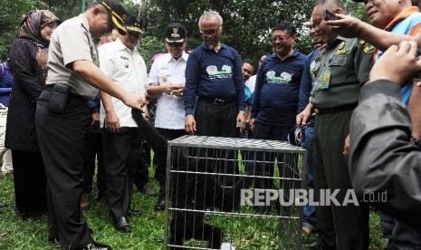 Direktur Jenderal Konservasi Sumber Daya Alam dan Ekosistem Kementerian Kehutanan Tachrir Fathoni (keempat kiri) menyerahkan hewan siamang untuk dilepasliarkan di Taman Nasional Way Kambas (TNWK) Lampung Timur, Rabu (27/7)