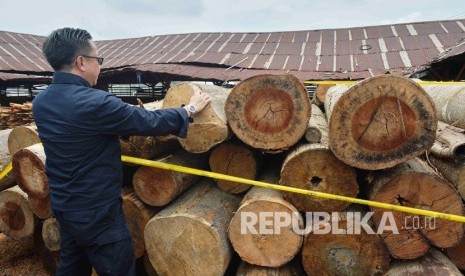 Direktur Jenderal Penegakan Hukum, Kementerian Lingkungan Hidup dan Kehutanan (KLHK), Rasio Ridho Sani mengamati barang bukti kayu ilegal logging.