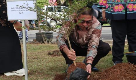 Direktur Jenderal Pengelolaan Hutan Lestari (PHL) Agus Justianto, selaku Ketua Harian II Tim Folu Net Sink 2030, dalam arahannya pada Sosialisasi Indonesia