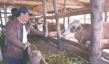 Direktur Jenderal Peternakan dan Kesehatan Hewan (Dirjen PKH) I Ketut Diarmita saat melakukan kunjungan kerja ke NTB, Jumat (21/9)