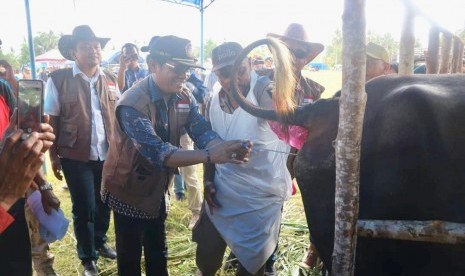 Direktur Jenderal Peternakan dan Kesehatan Hewan, Kementan, I Ketut Diarmita menghadiri Gebyar SIWAB dan Panen Pedet di Luwuk Banggai Provinsi Sulawesi Tengah, Sabtu, (17/11). 