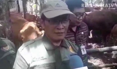 Direktur Jenderal Peternakan dan Kesehatan Hewan Kementerian Pertanian, I Ketut Diarmita