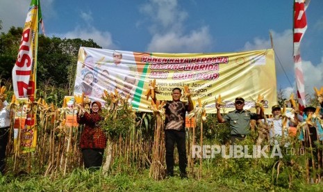 Direktur Jenderal Tanaman Pangan Kementerian Pertanian, Gatot Irianto  bersama Bupati Gunungkidul, Badingah, melakukan panen raya perdana jagung  hibrida di Desa Bleberan, Playen, Gunungkidul, DIY, Sabtu (09/02).