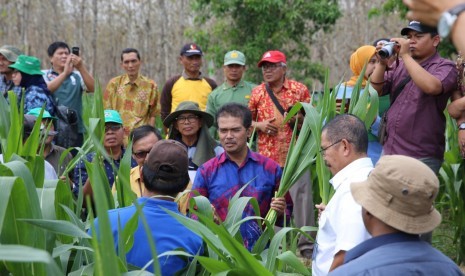 Direktur Jenderal Tanaman Pangan Kementerian Pertanian (Kementan), Suwandi bersama Direktur Perbenihan M. Takdir Mulyadi mengungi Desa Jatirogo, Kabupaten Tuban pada hari Sabtu (7/9).