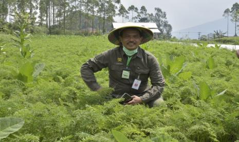 Direktur Jenderal Tanaman Pangan Kementerian Pertanian, Suwandi. Dalam upaya mengamankan harga gabah di tingkat petani pada masa panen raya, Kementerian Pertanian (Kementan) bersinergi dengan Bulog menyerap gabah petani.