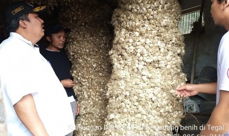 Direktur Sayuran dan Tanaman Obat Ditjen Hortikultura, Prihasto Setyanto saat melakukan kunjungan kerja ke sentra bawang putih di Kabupaten Brebes dan Tegal bagian selatan meliputi Kecamatan Bojong, Bumijawa, Sirampog dan Paguyangan, sisi utara Gunung Slamet.  